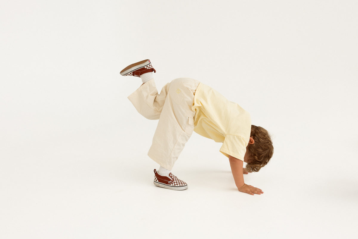 The Explorer Pant